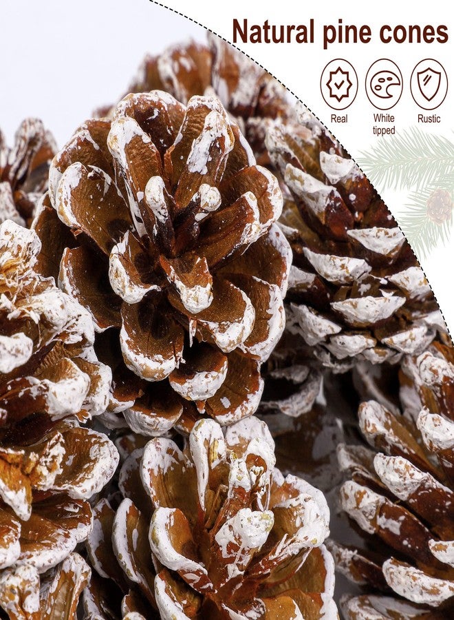 Fovths 30 Pieces 2 Size Christmas Pine Cones with String Mini Rustic Pinecones Bulk Ornaments for Xmas Tree Crafts Holiday Home Hanging Ornament Party Favor Fireplace Table Centerpiece, White - Image 3